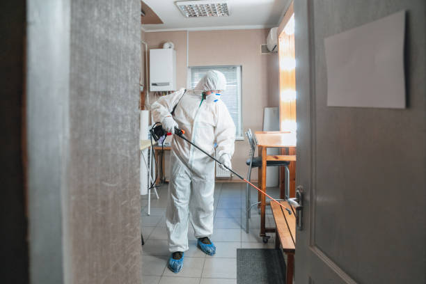 Best Real Estate Mold Inspection  in Aurora, NE
