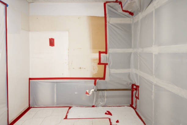 Best Residential Mold Inspection & Testing  in Aurora, NE