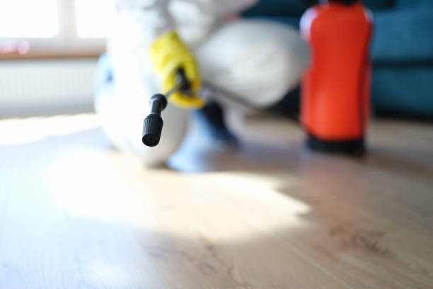Best Crawl Space Mold Remediation  in Aurora, NE