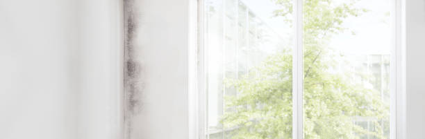 Best Comprehensive Air Testing for Mold Contaminants  in Aurora, NE