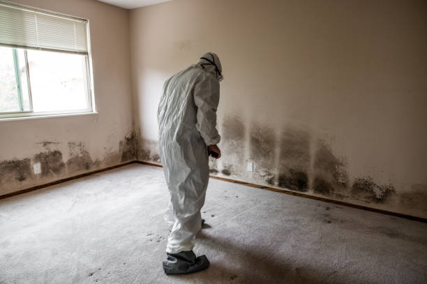 Best Residential Mold Inspection & Testing  in Aurora, NE