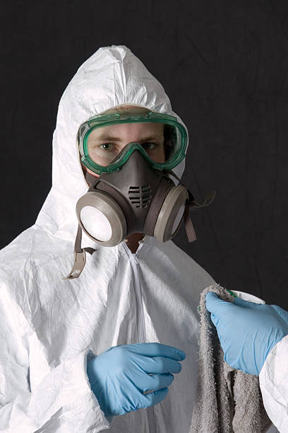 Best Attic Mold Removal  in Aurora, NE